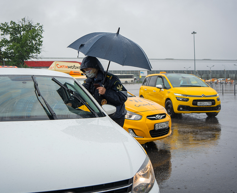 Водитель такси без аренды. Сходка водителей такси. Белоруссия незаконный таксопарк. Фото такси в Домодедово. Таксисты Домодедово под мостом.
