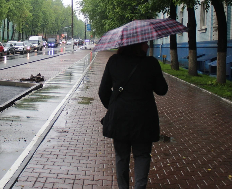 Около двадцати. До плюс 16 дождь. Врач под дождем. Дождь в четверг в парке Балашиха.