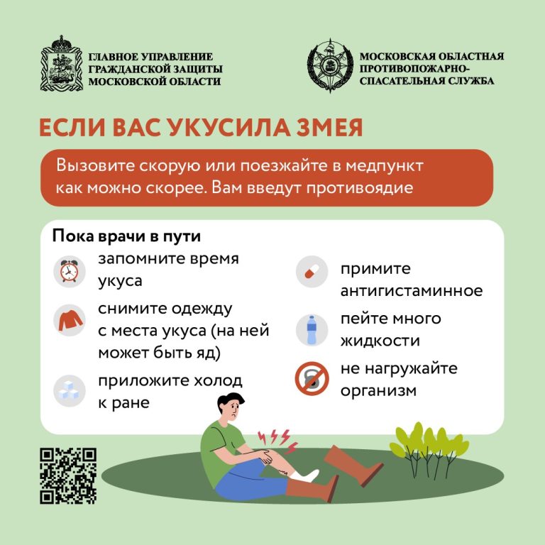 WhatsApp Image 2025-07-15 at 10.30.55 (3)