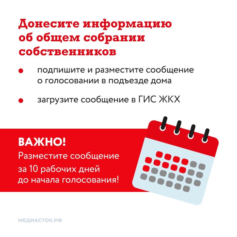 WhatsApp Image 2025-08-12 at 09.51.54 (4)