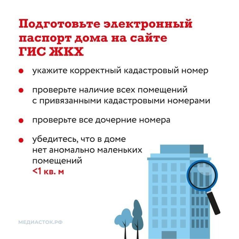 scale_1200 (4)