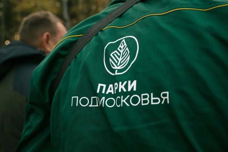 photo_5197523195895349629_y